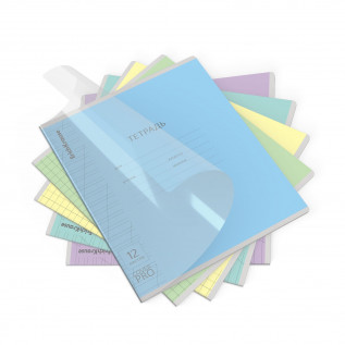 Тетрадь 12 листов косая линейка Erich Krause с пластиковой обложкой