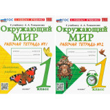 Соколова Н.А. Окружающий мир 1 класс Рабочая тетрадь в 2-х частях (к учебнику Плешаков А.А.)